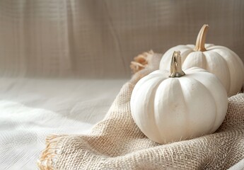 White Pumpkins Burlap Fabric Autumn Fall Decor
