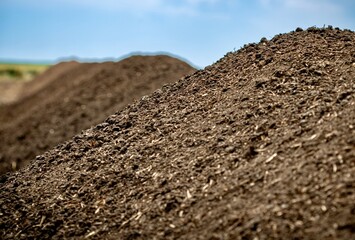 pile of compost 