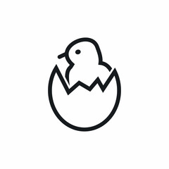 chick hatching egg newborn icon
