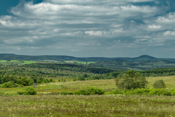 Forests and meadows in Krusne mountains with sunny fresh color day