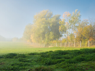 Sunny foggy landscape during autumn day