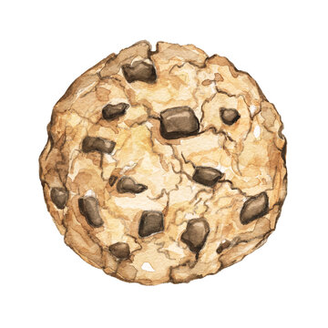 Home made chocolate chip cookie isolated on white background. Watercolor hand drawn illustration