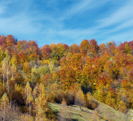 Obraz premium Autumn Carpathian mountains, Ukraine