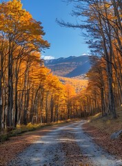 Fototapeta premium Autumn Road through Forest with Golden Trees and Mountain View