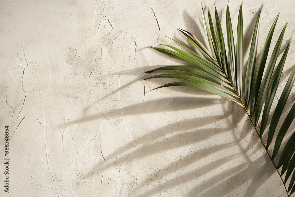Poster abstract background with a palm leaf shadow on a beige paper texture, summer template for product pr