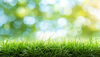Obraz premium Vivid close up of lush green grass against softly blurred garden background for stunning visuals