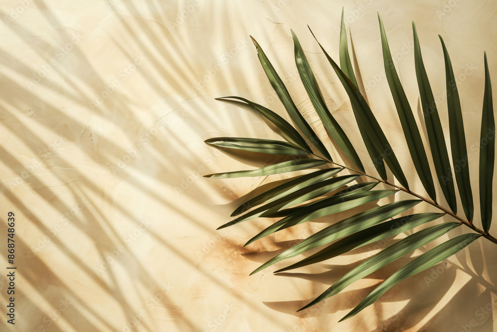 Poster abstract background with a palm leaf shadow on a beige paper texture, summer template for product pr