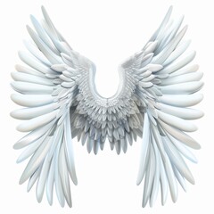 Obraz premium Wings icon, angel wings emblem, bird feathers silhouette, pigeon sign, spirituality symbol, elegance flight