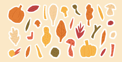 Set of cut out paper autumn stickers featuring leaves, pumpkins, mushrooms, and twigs in warm fall colors. Vector hand drawn flat illustration.