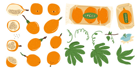Sweet granadilla set. Tropical half and whole and packaging fruits with leaves and flower clipart. Yellow passion fruit collection. Vector illustration isolated on white background.