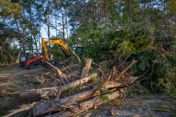Native forest habitat destroyed for new housing construction in north central Florida