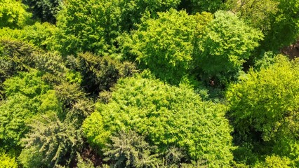 Drone view from above of green mixed forests in northern Germany.