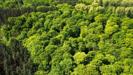 Drone view from above of green mixed forests in northern Germany.