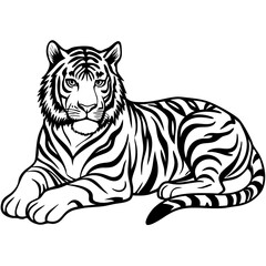 Obraz premium tiger on white background