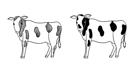 Cows isolated, sketch. line art