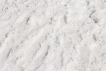 Snow texture. Winter white background.