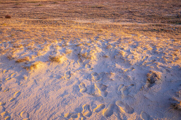 Sand dunes landscape with moorland under a sunny sky