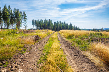 Obraz premium Landscape Der Harz national park, Germany.