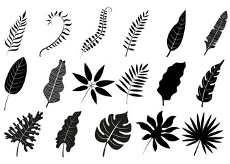Black and white silhouettes of leaves. Elements for design and decoration. Vector illustration. Easy to use. Simple design