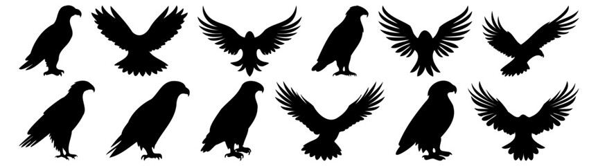 Eagle silhouette set vector design big pack of illustration and icon