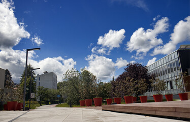City environment. A square with a shopping mall, a path to a park and ornamental trees in large pots. Blue sky with white clouds.