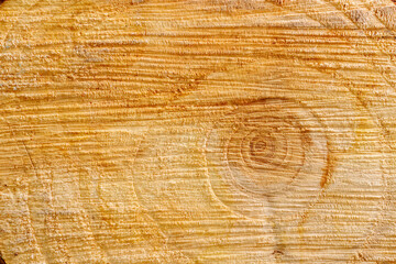 Closeup Macro Image of Surface of Cross Section of a Slice Cut of Wood Showing Natural Texture for Background