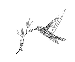 hummingbird drawing , illustration thin line,  tattoo style.  feather wings, flying 