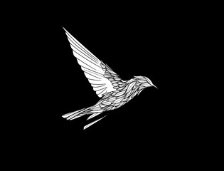 hummingbird drawing , illustration thin line,  tattoo style.  feather wings, flying 