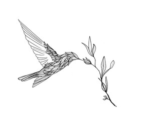hummingbird drawing , illustration thin line,  tattoo style.  feather wings, flying 