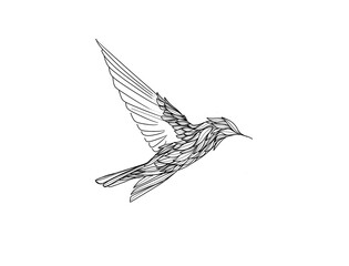 hummingbird drawing , illustration thin line,  tattoo style.  feather wings, flying 