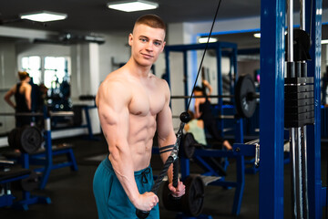 Portrait of man training triceps with cable machine at the gym. 