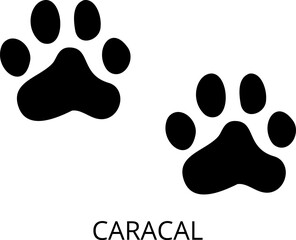Animals footprints. Realistic Prints wildlife foot icon, bird paw, pets footstep silhouette, print hoofed feet. Cat, dog, wolf, chicken, horse and other vector illustrations.