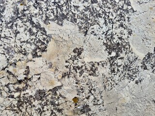 A polished granite marble kitchen surface enhances the interior design with its sleek, elegant finish, combining durability and luxury for a timeless, sophisticated look.