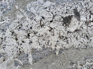 A polished granite marble interior design kitchen surface exudes elegance and sophistication, featuring smooth, lustrous stone that enhances the luxurious and modern aesthetic of the space.