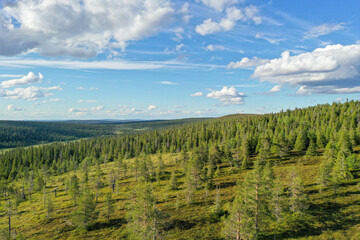 Summery aerial view of a coniferous forest at Riisitunturi national park, Posio, Northern Finland, Europe