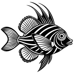 black and white fish