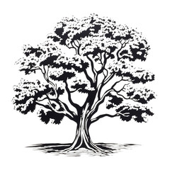 Obraz premium Oak Tree Silhouette Isolated on Transparent background