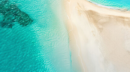 Fototapeta premium Beautiful tropical sandy beach