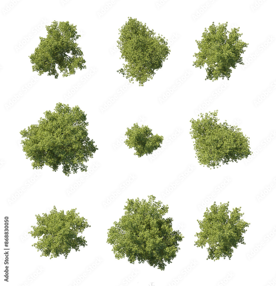 Wall mural masterplan view green trees cutout 3d render premium png set isolated png on a transparent backgroun