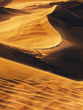 Sand dunes in the desert vertical
