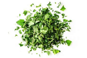A compacted pile of green leaves on a white surface