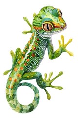 Obraz premium A small reptile with vibrant orange spots on its back, sitting still