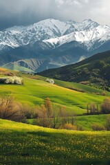 Obraz premium Snow-capped mountains against a bright green field, perfect for winter or nature-themed projects