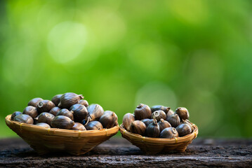 Job's tears or millet dried fruits on natural background.