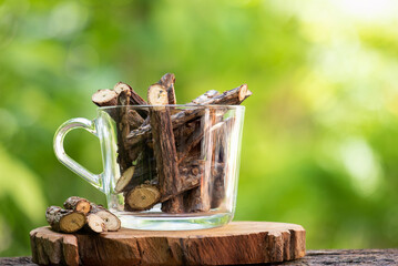 Cryptolepis dubiawood dry log on natural background.
