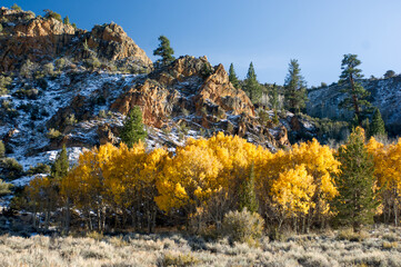 Autumn in the wilderness of the Sierra Nevada Mountain Range