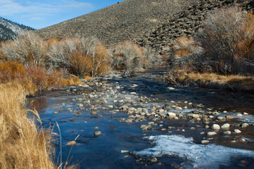 Signs of Walker River Freezing in Late Autumn