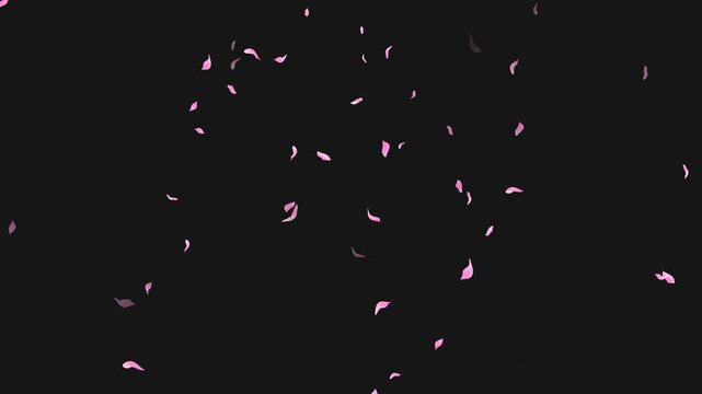 Loop Flying Sakura on Transparent Background. Blossom. Cherry. Alpha Channel