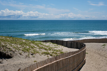 御前崎遠州灘の海辺に広がる浜岡砂丘