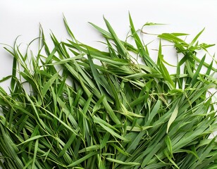 A bunch of green grass is spread out on a white background